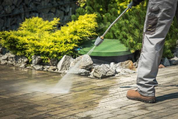 Best Warehouse Cleaning  in Springhill, LA